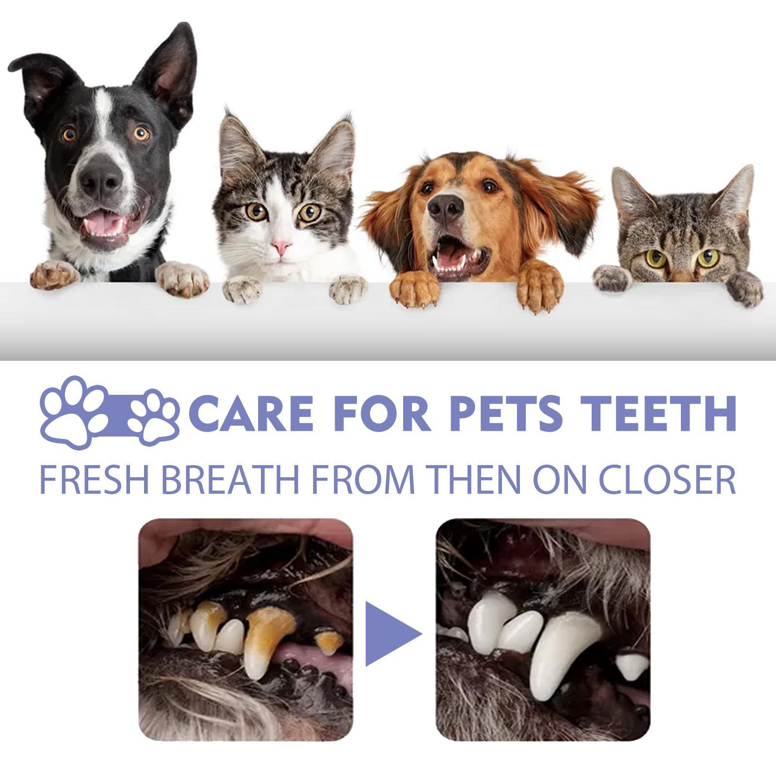 Yegebang Cat And Dog Teeth Cleaning Spray Pet Oral Cleaning Deodorizing Fresh Breath CJ