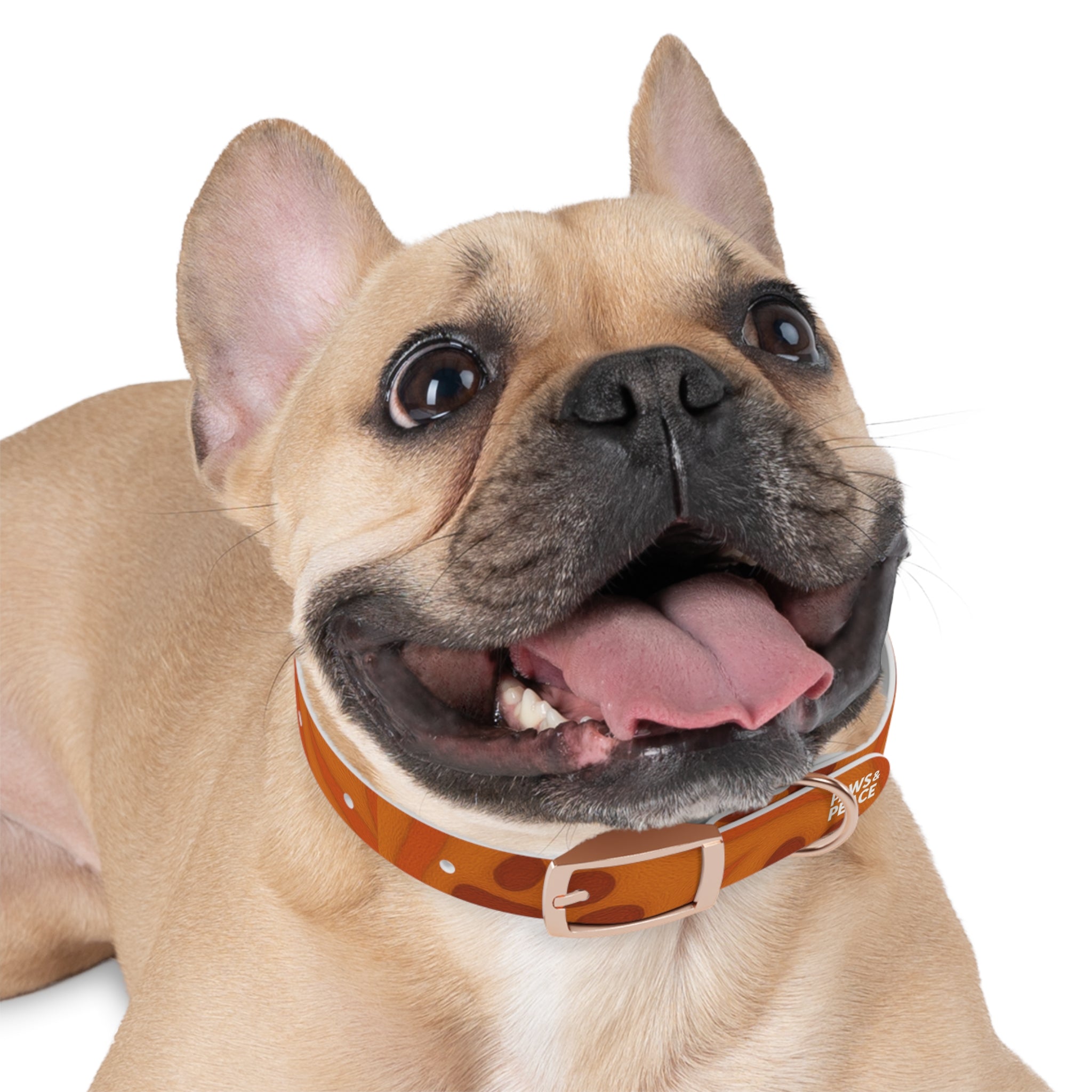 Stylish Pets Collar  (Orange) Paws&Peace Design Printify