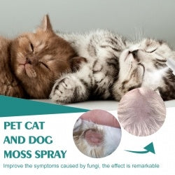 Yegbong Pet Skin Medicine Spray, Cats And Dogs To Remove Mite Skin Itching To Remove Red Hair To Itch CJDropshipping