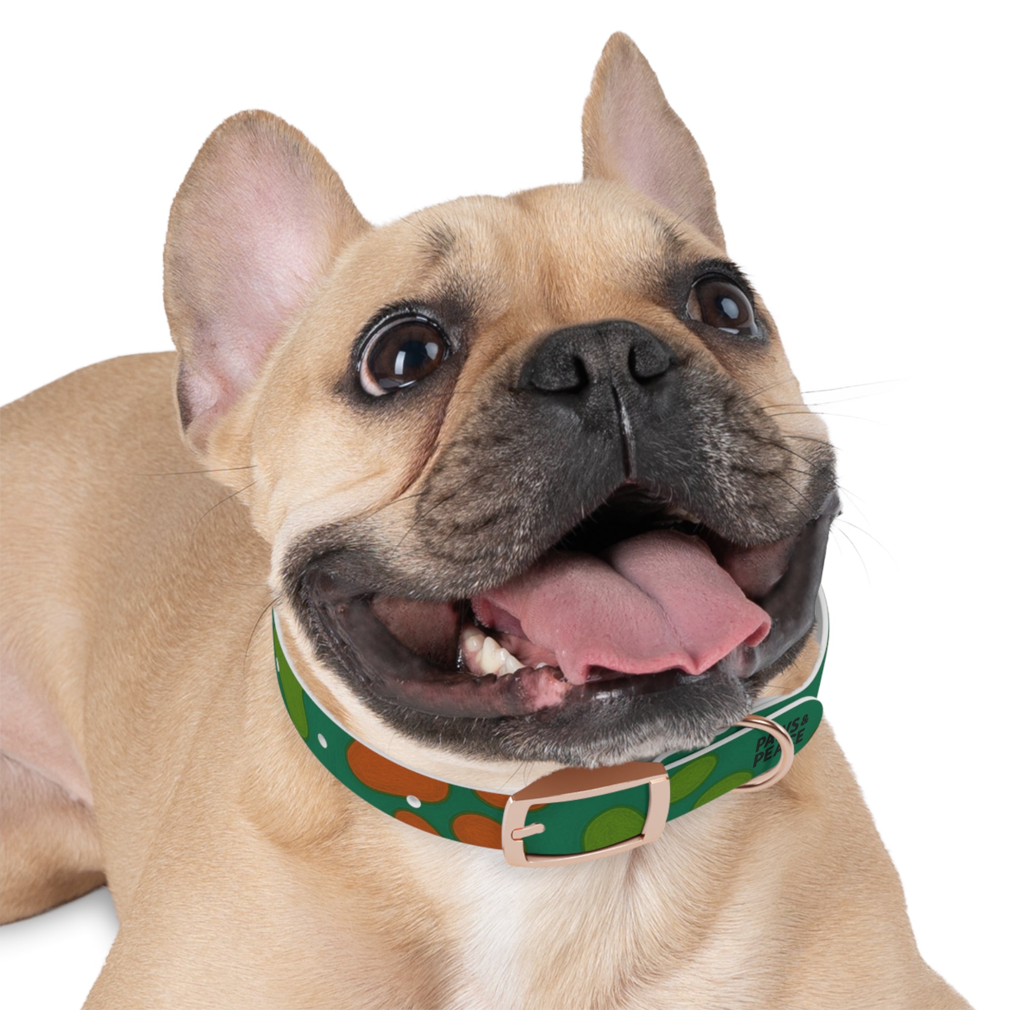 Stylish Dog Collar (green) | Paws & Peace Design Printify
