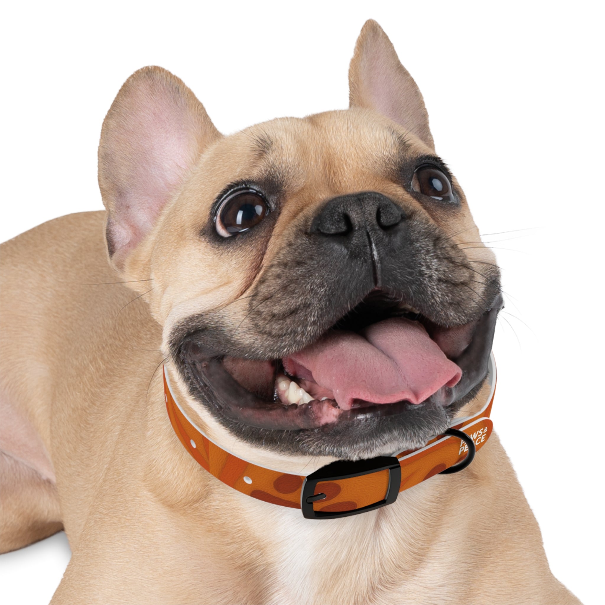 Stylish Pets Collar  (Orange) Paws&Peace Design Printify
