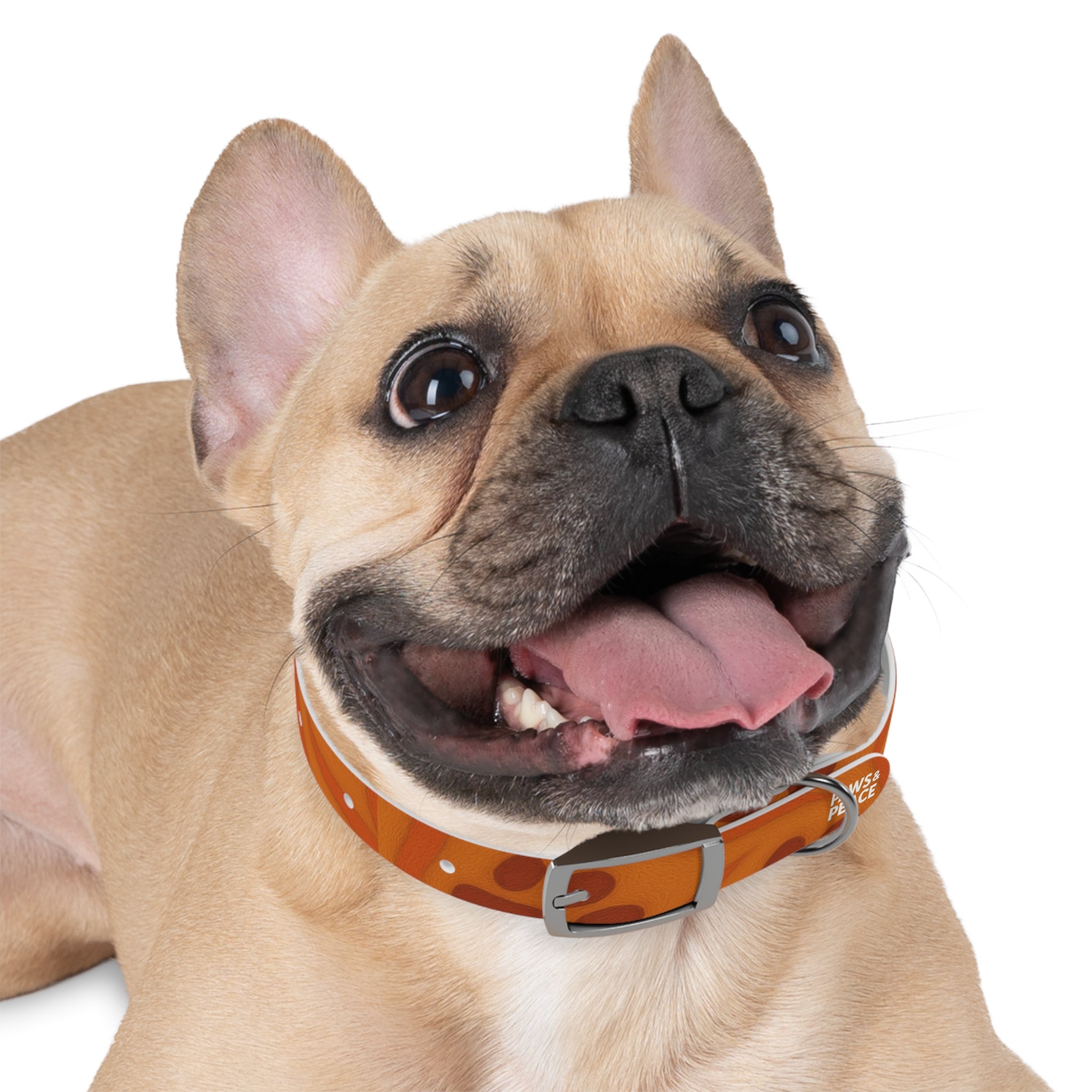 Stylish Pets Collar  (Orange) Paws&Peace Design Printify