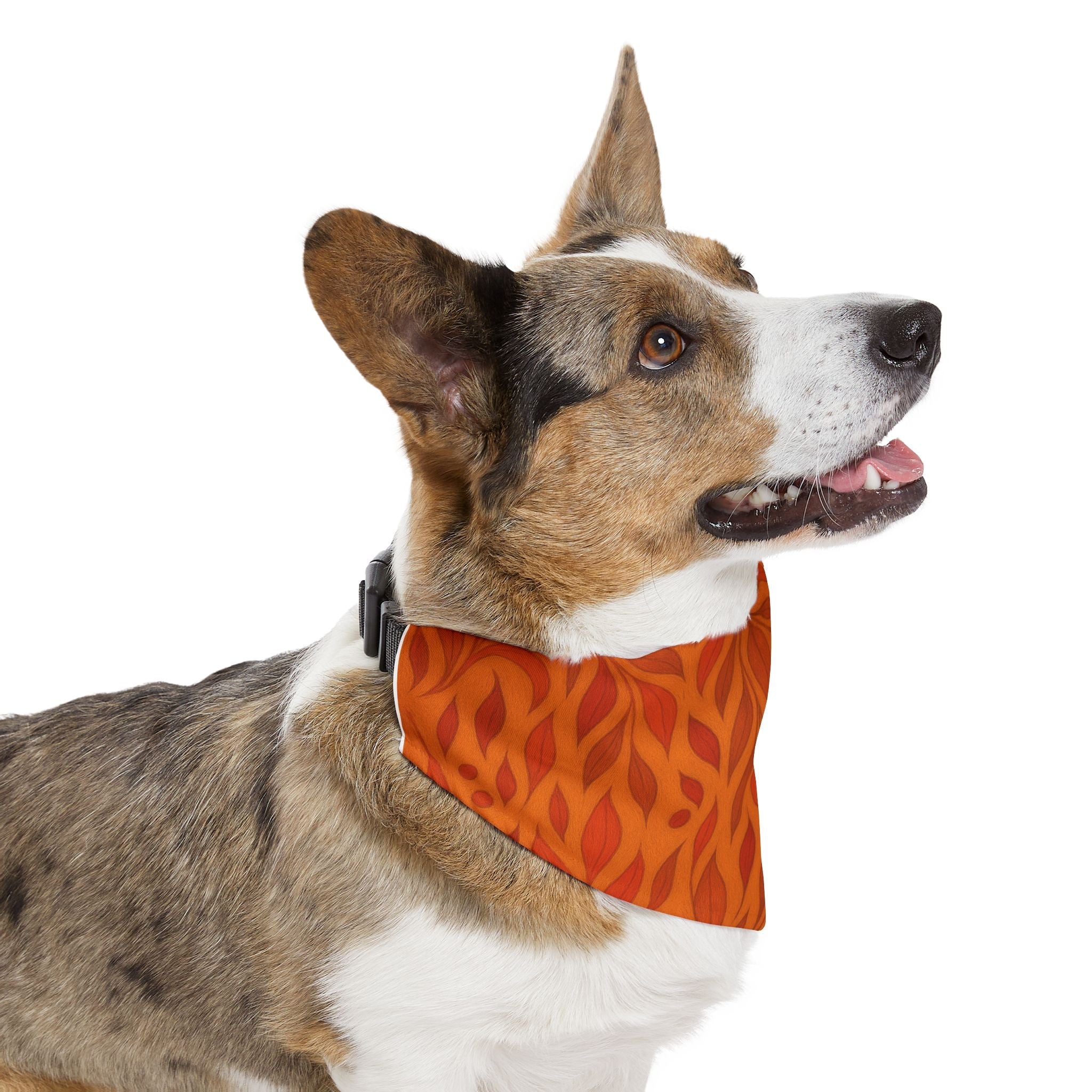 Stylish Pet Bandana Collar Printify