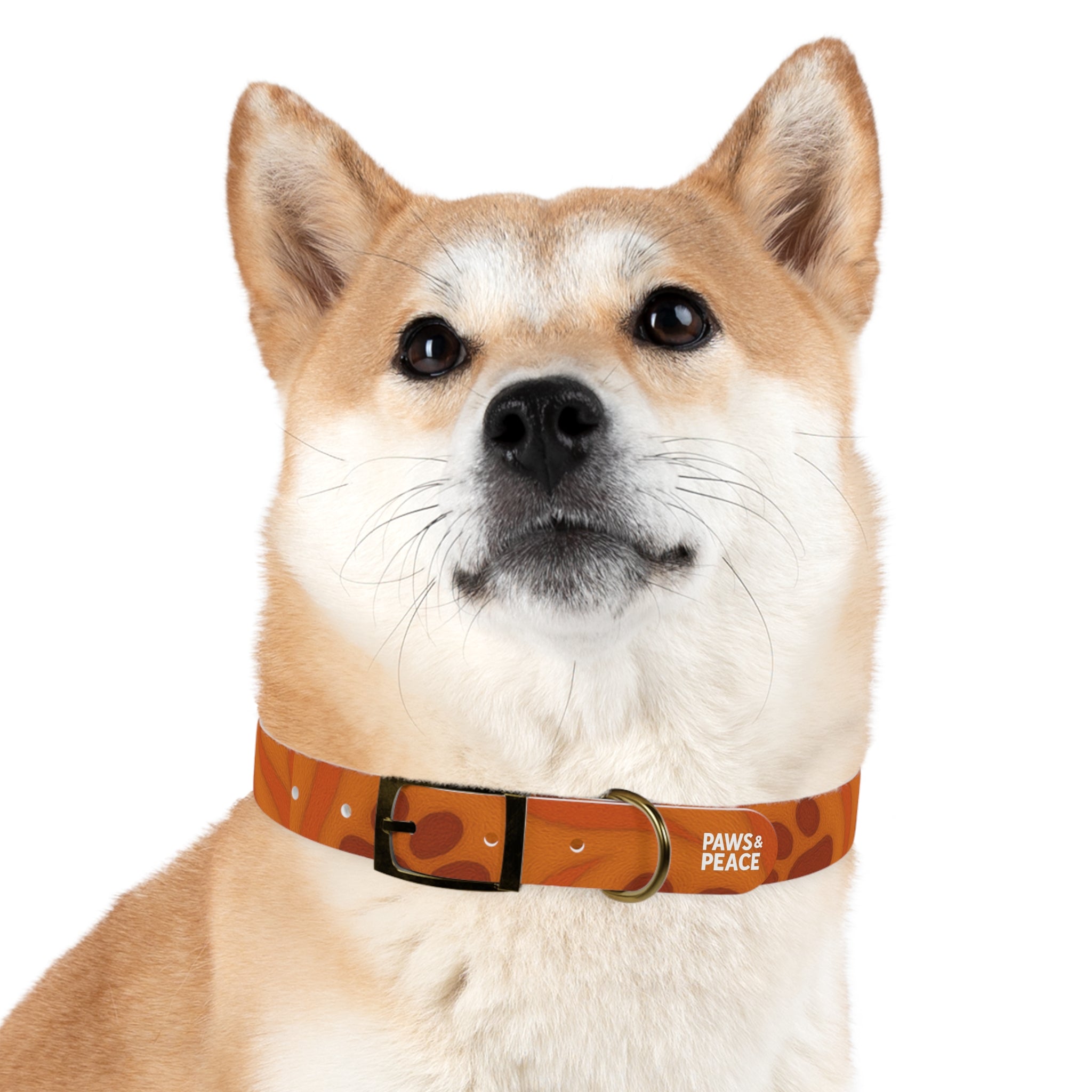 Stylish Pets Collar  (Orange) Paws&Peace Design Printify