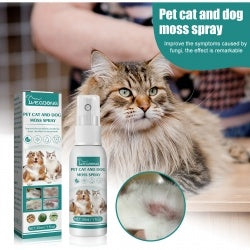 Yegbong Pet Skin Medicine Spray, Cats And Dogs To Remove Mite Skin Itching To Remove Red Hair To Itch CJDropshipping