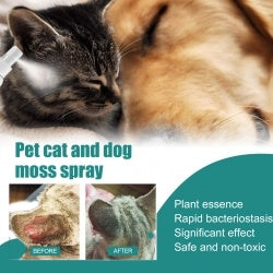 Yegbong Pet Skin Medicine Spray, Cats And Dogs To Remove Mite Skin Itching To Remove Red Hair To Itch CJDropshipping
