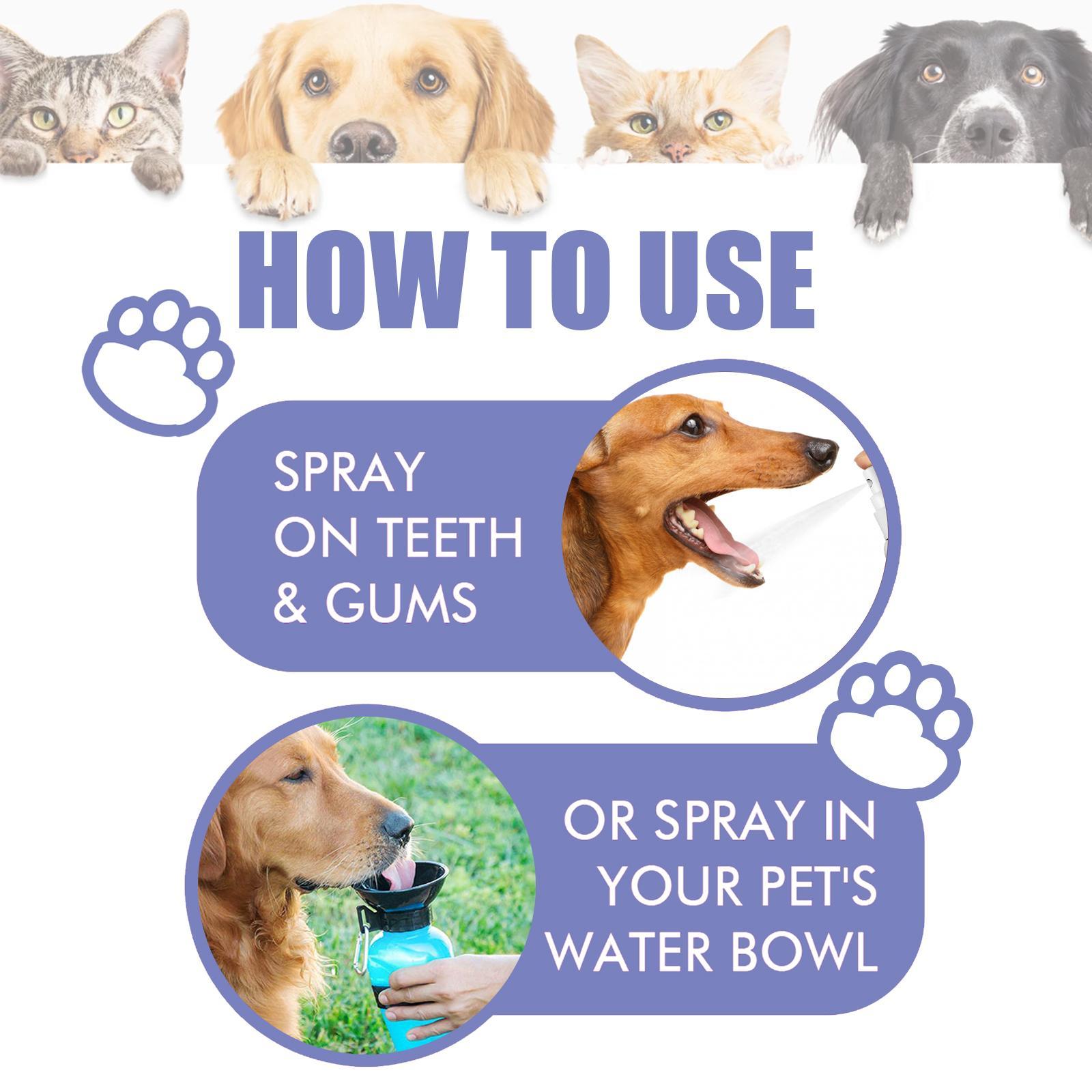 Yegebang Cat And Dog Teeth Cleaning Spray Pet Oral Cleaning Deodorizing Fresh Breath CJ