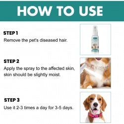 Yegbong Pet Skin Medicine Spray, Cats And Dogs To Remove Mite Skin Itching To Remove Red Hair To Itch CJDropshipping