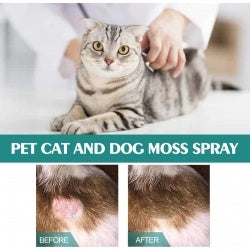 Yegbong Pet Skin Medicine Spray, Cats And Dogs To Remove Mite Skin Itching To Remove Red Hair To Itch CJDropshipping