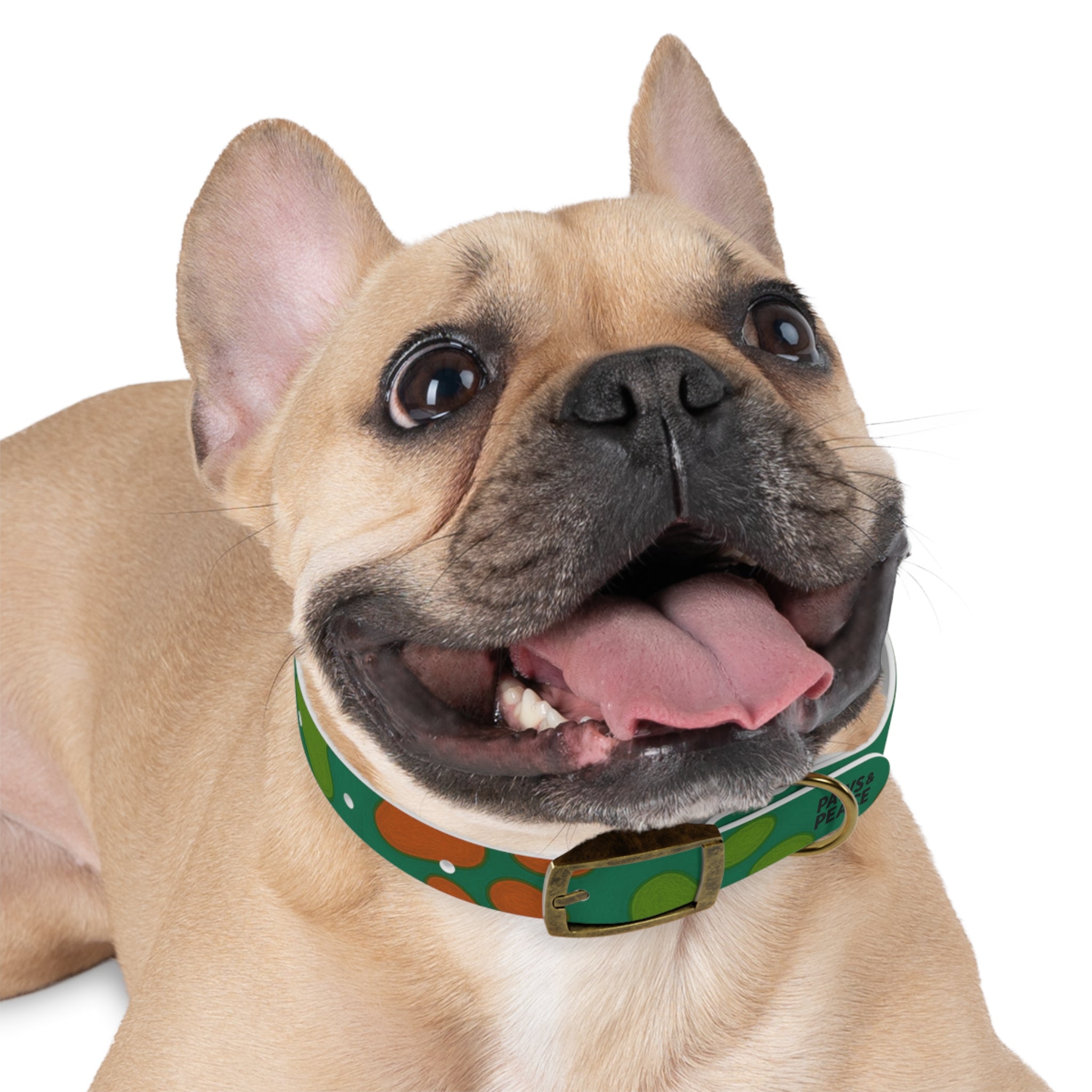Stylish Dog Collar (green) | Paws & Peace Design Printify