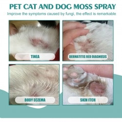Yegbong Pet Skin Medicine Spray, Cats And Dogs To Remove Mite Skin Itching To Remove Red Hair To Itch CJDropshipping