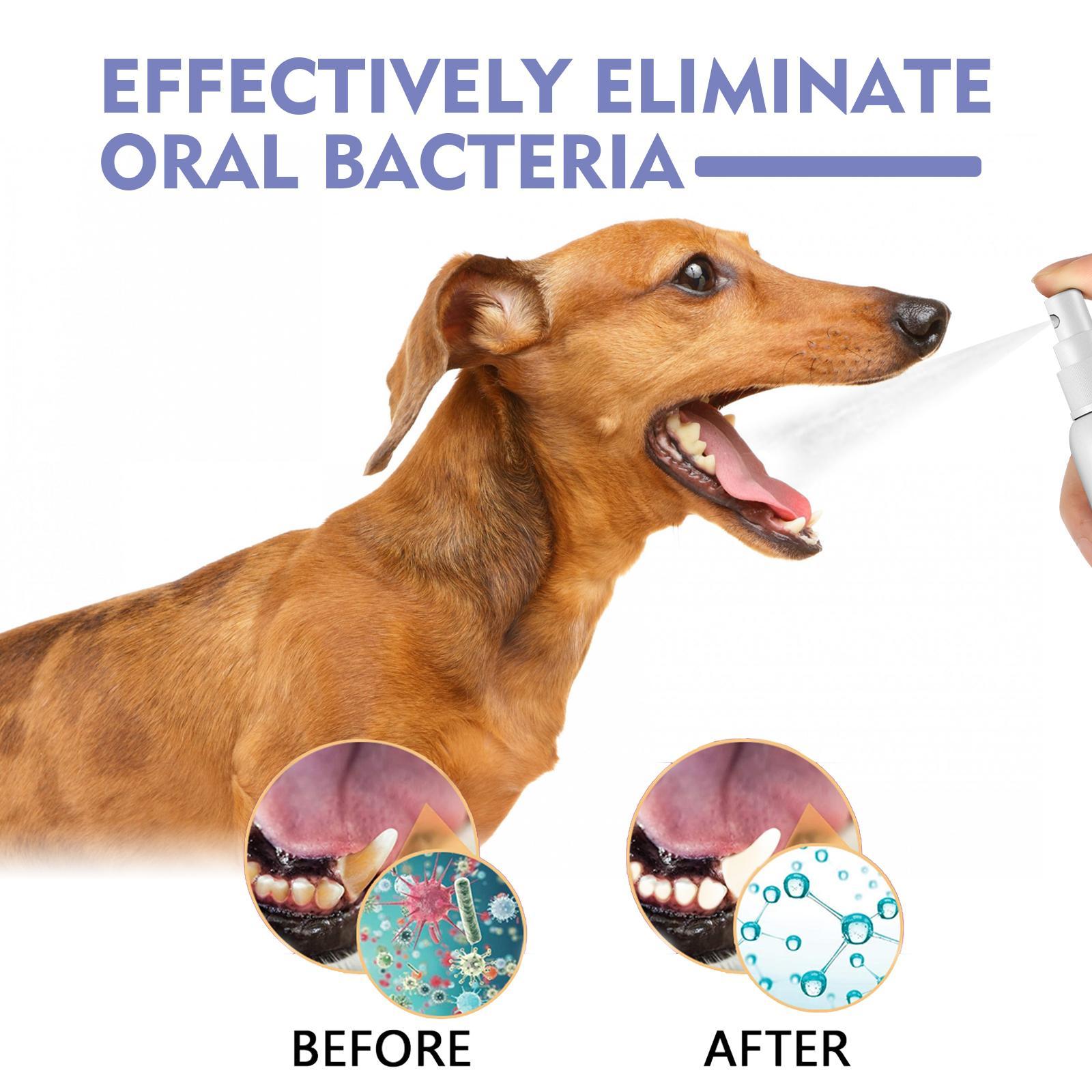 Yegebang Cat And Dog Teeth Cleaning Spray Pet Oral Cleaning Deodorizing Fresh Breath CJ