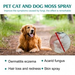 Yegbong Pet Skin Medicine Spray, Cats And Dogs To Remove Mite Skin Itching To Remove Red Hair To Itch CJDropshipping