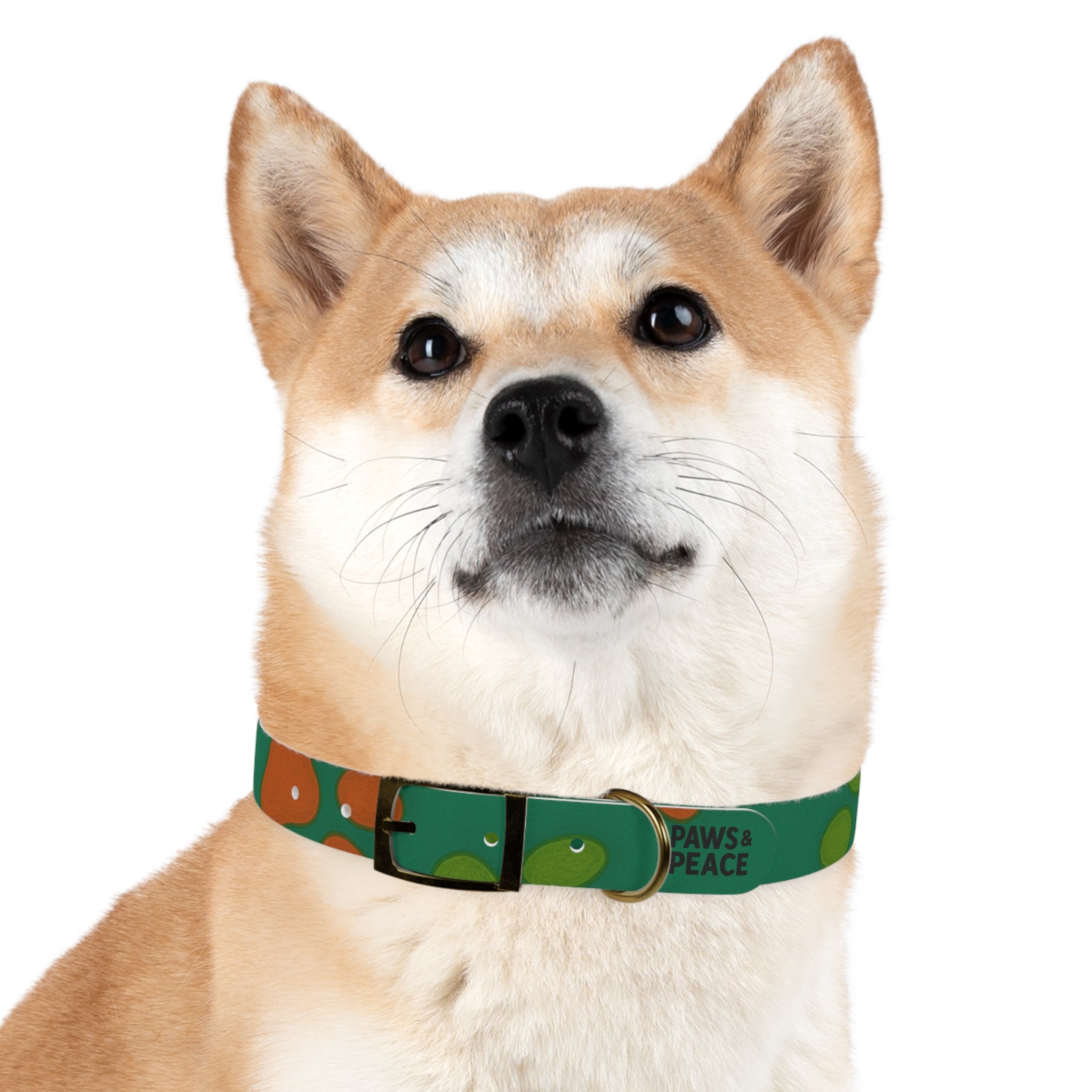 Stylish Dog Collar (green) | Paws & Peace Design Printify