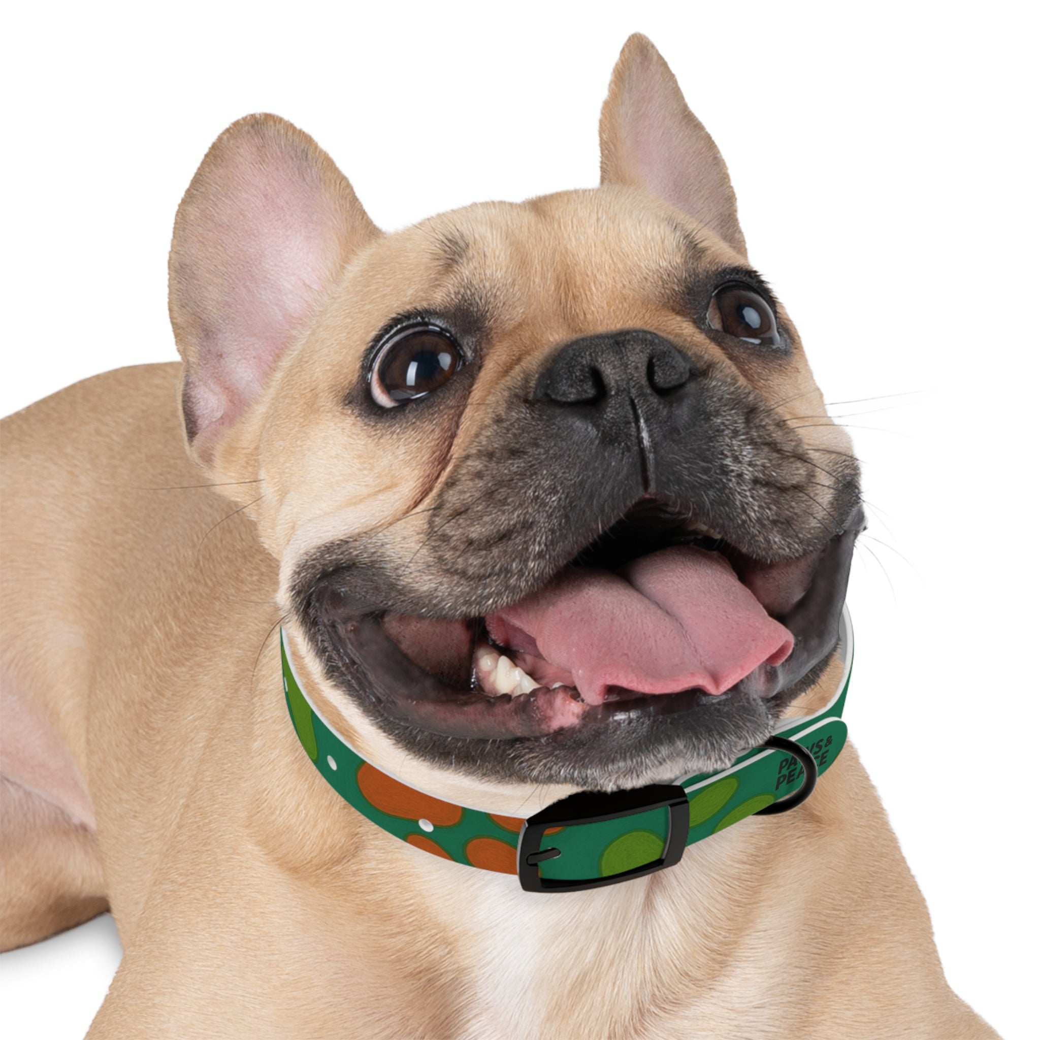 Stylish Dog Collar (green) | Paws & Peace Design Printify