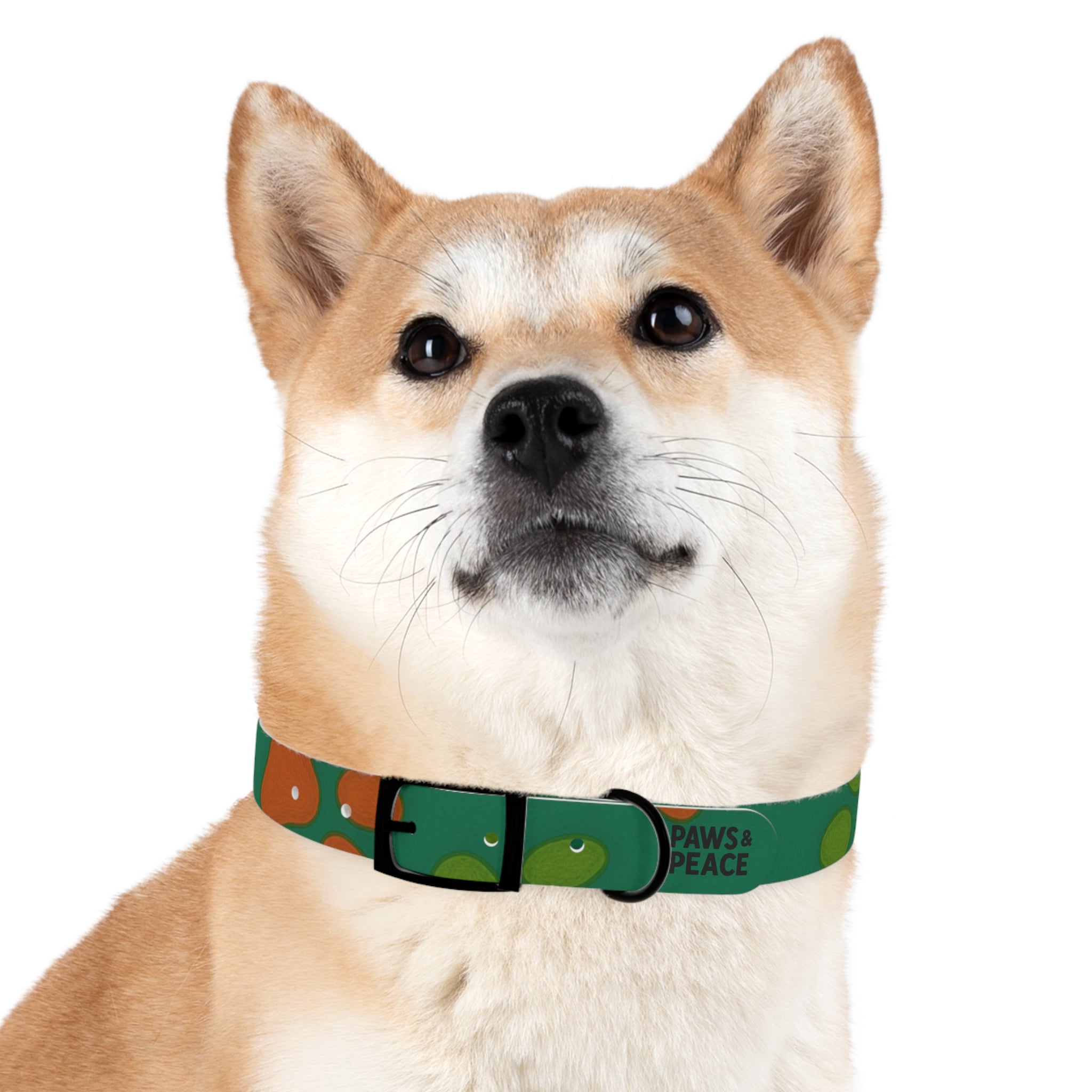 Stylish Dog Collar (green) | Paws & Peace Design Printify