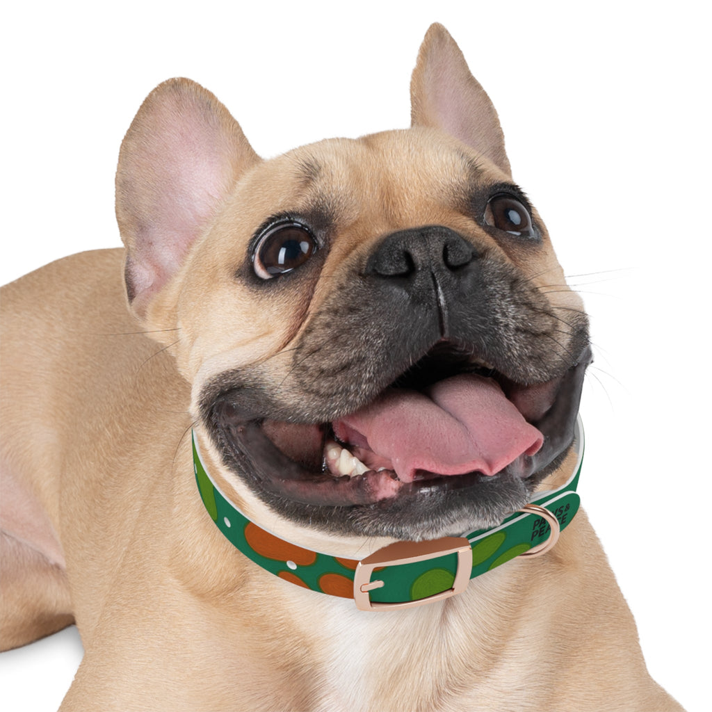 Stylish Dog Collar (green) | Paws & Peace Design Printify