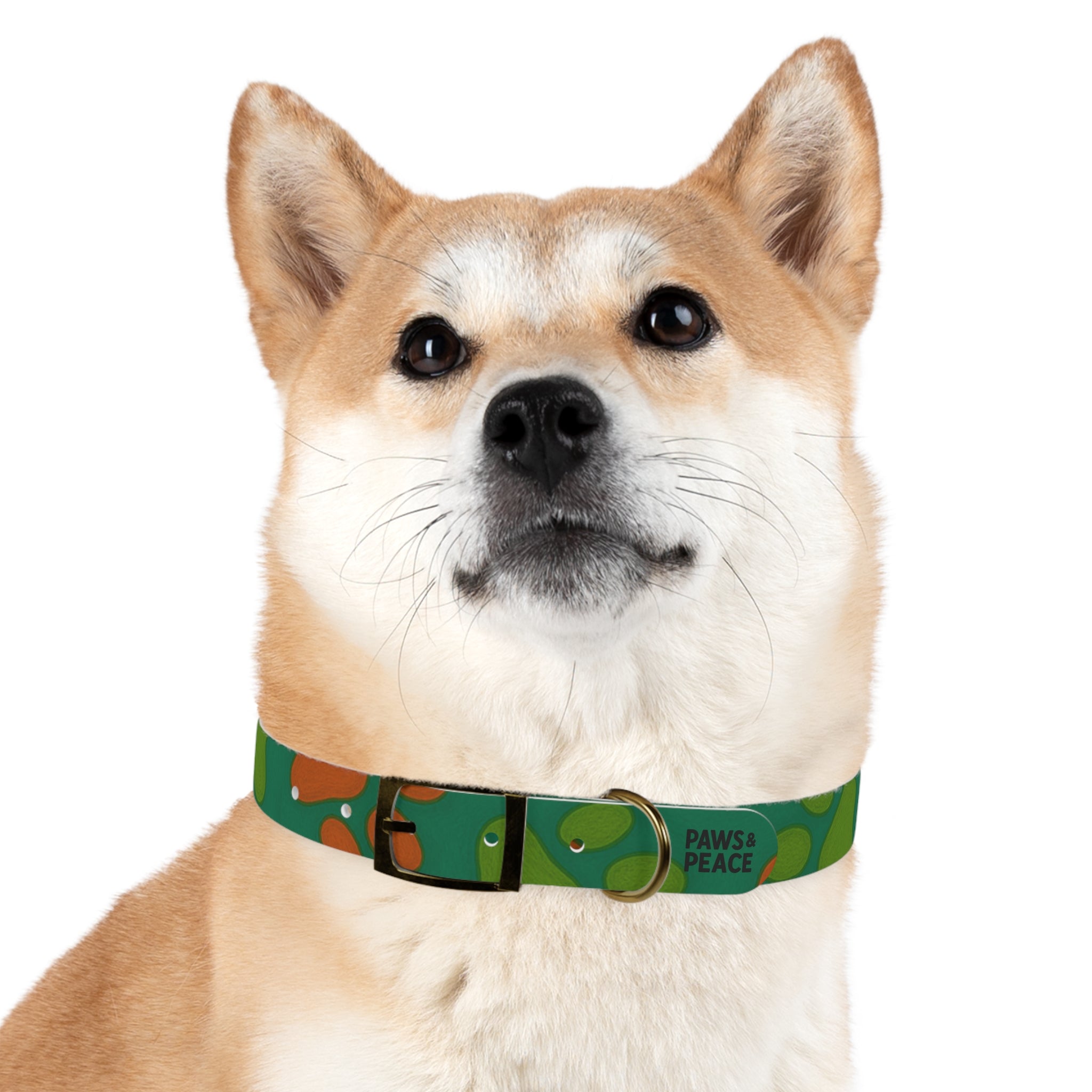 Stylish Dog Collar (green) | Paws & Peace Design Printify