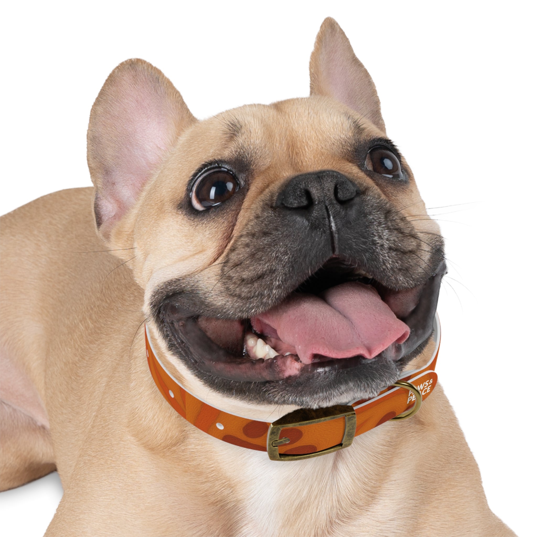 Stylish Pets Collar  (Orange) Paws&Peace Design Printify