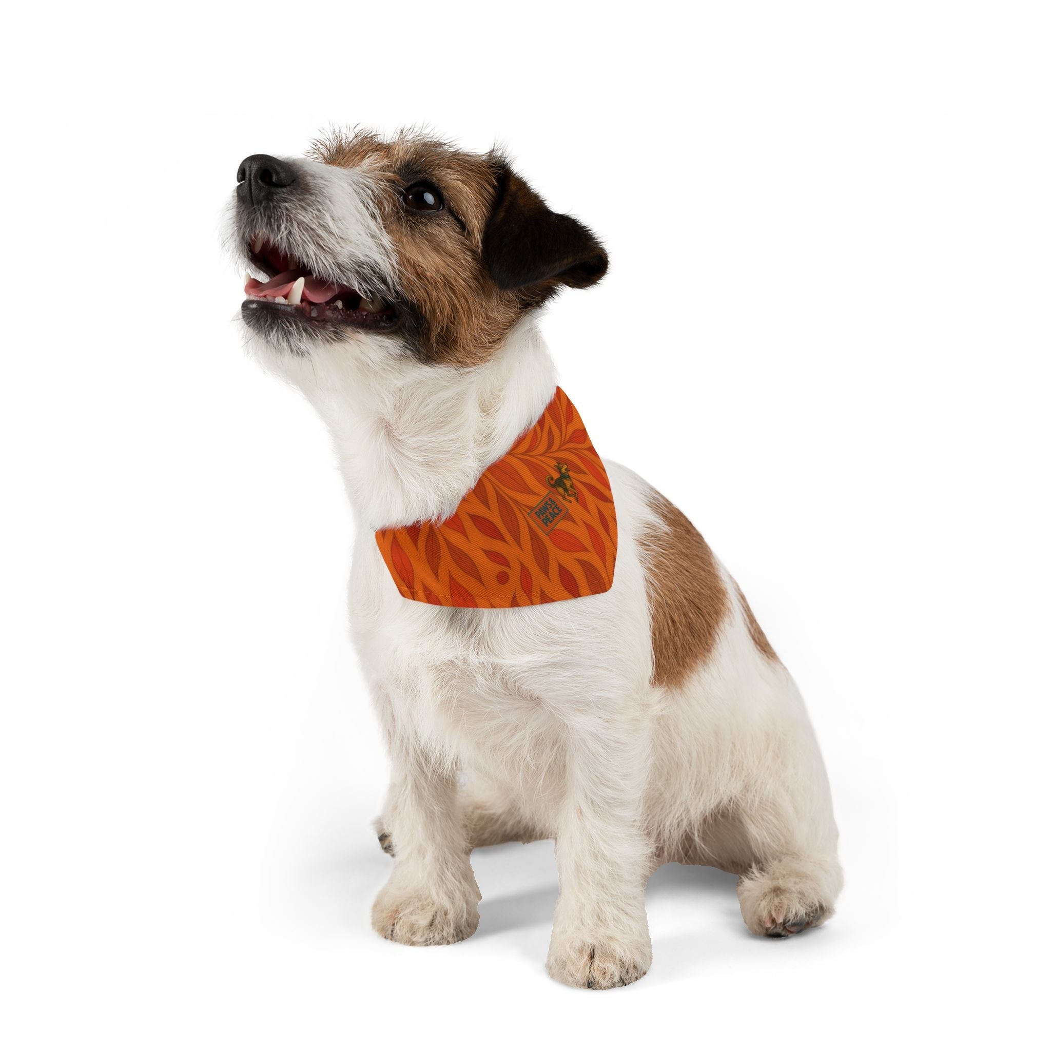 Stylish Pet Bandana Collar Printify