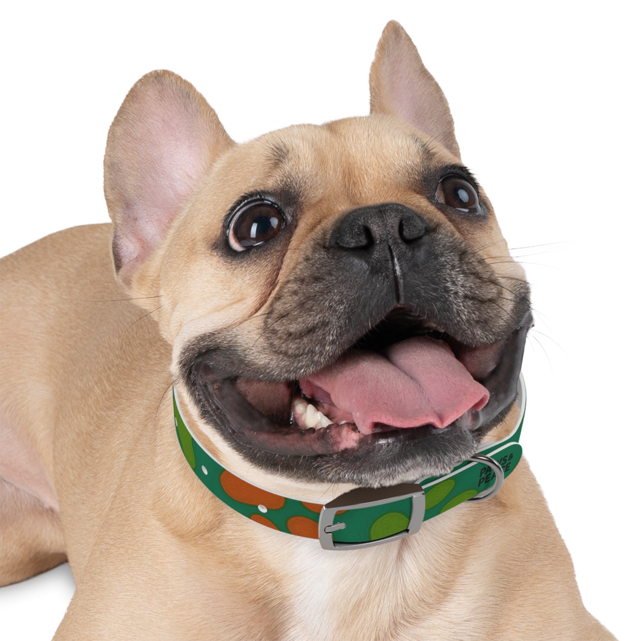 Stylish Dog Collar (green) | Paws & Peace Design Printify