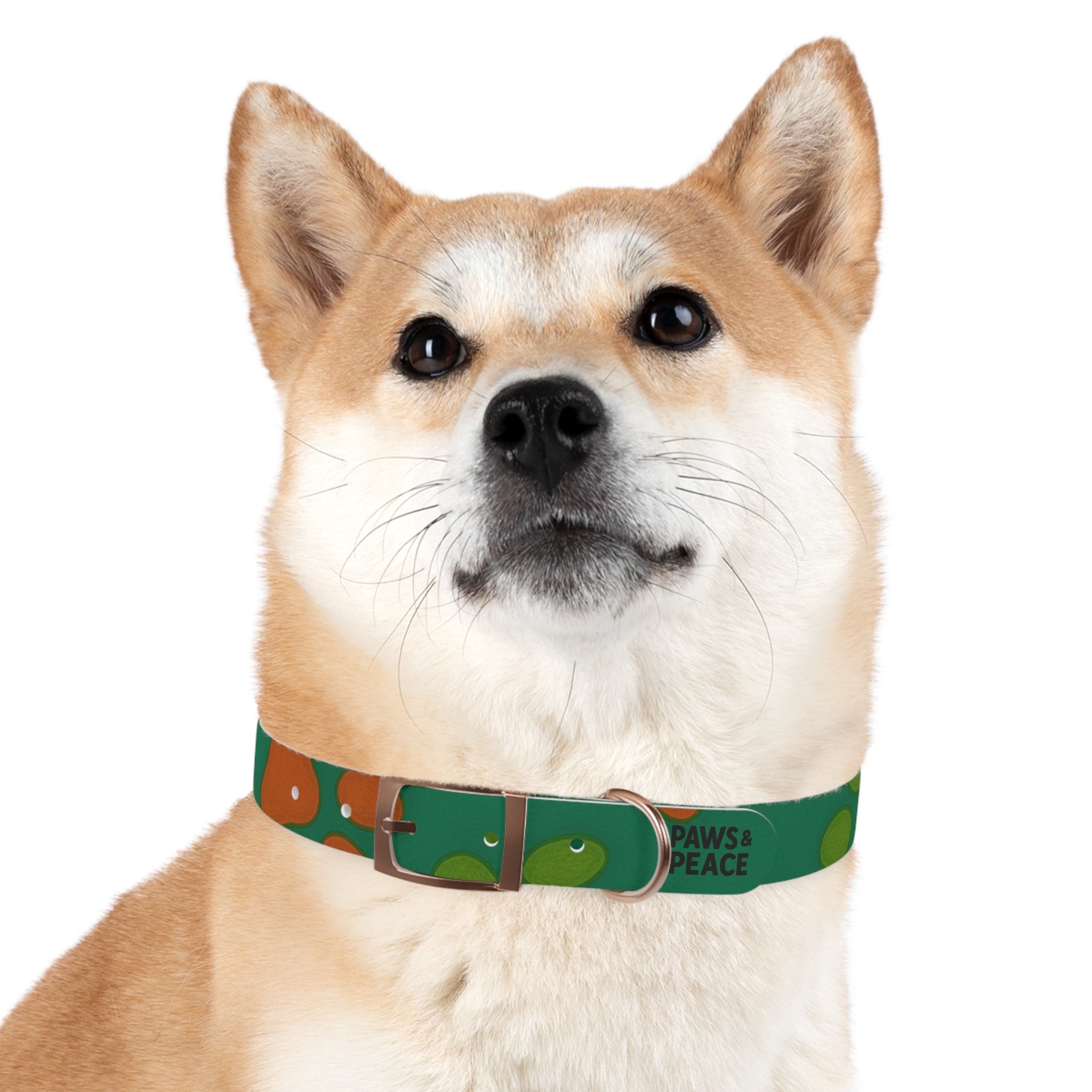 Stylish Dog Collar (green) | Paws & Peace Design Printify